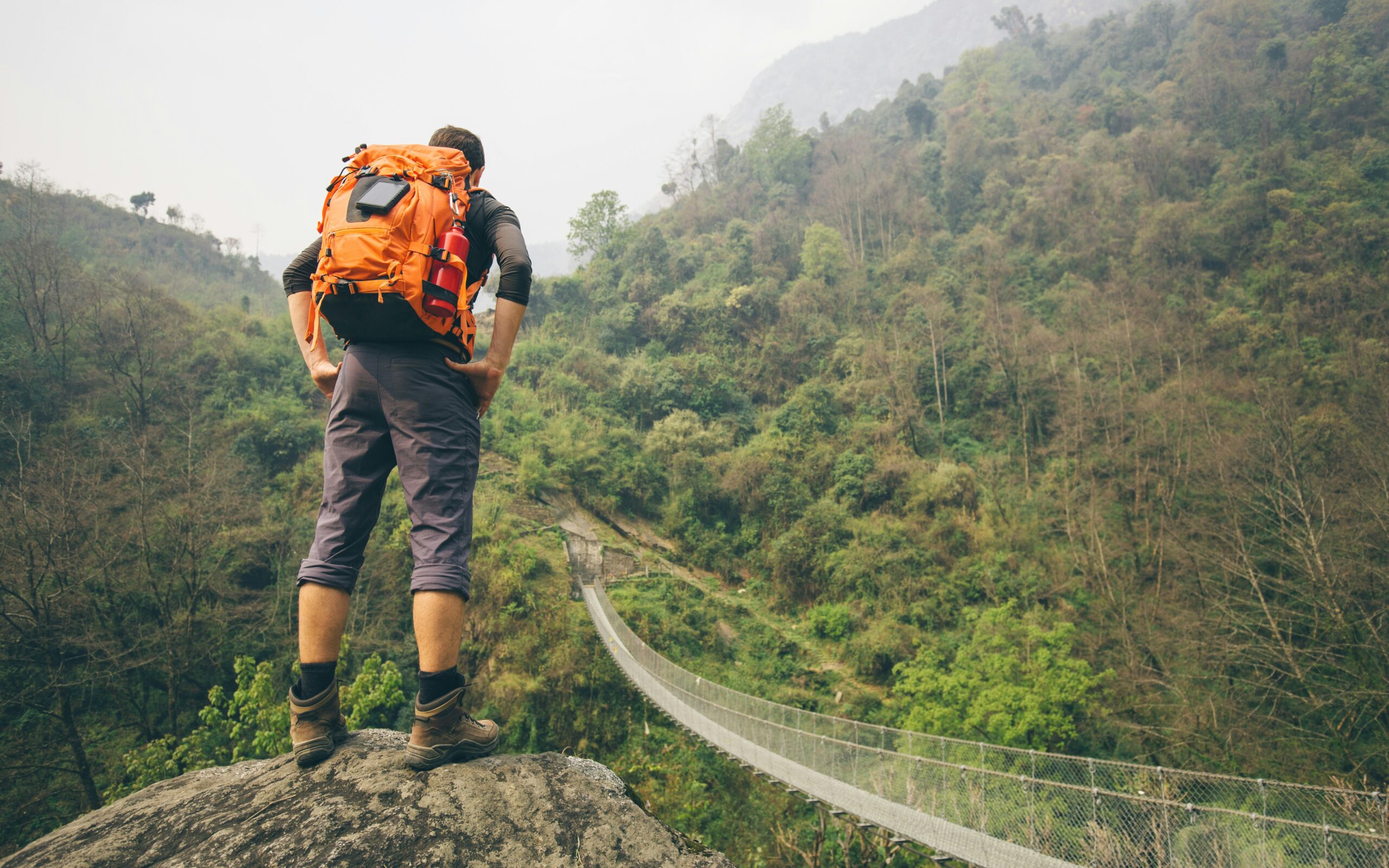 Journey Diaries: Cross-Country Road Trips and Backpacking the Globe by Scott Robinson Andover