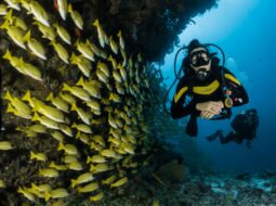 Scott Robinson Andover