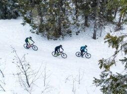Scott Robinson Andover - Winter Sports