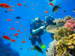 Scuba Diving