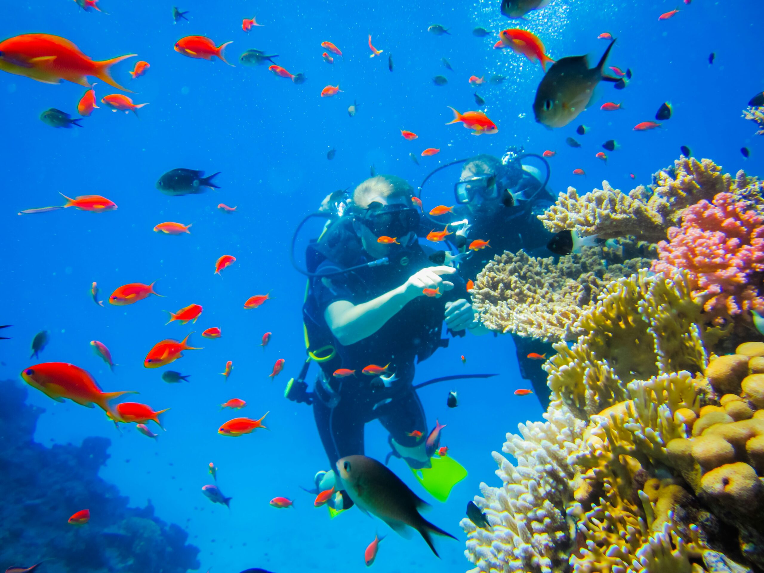 Scuba Diving