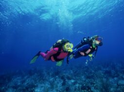scuba diving experiences