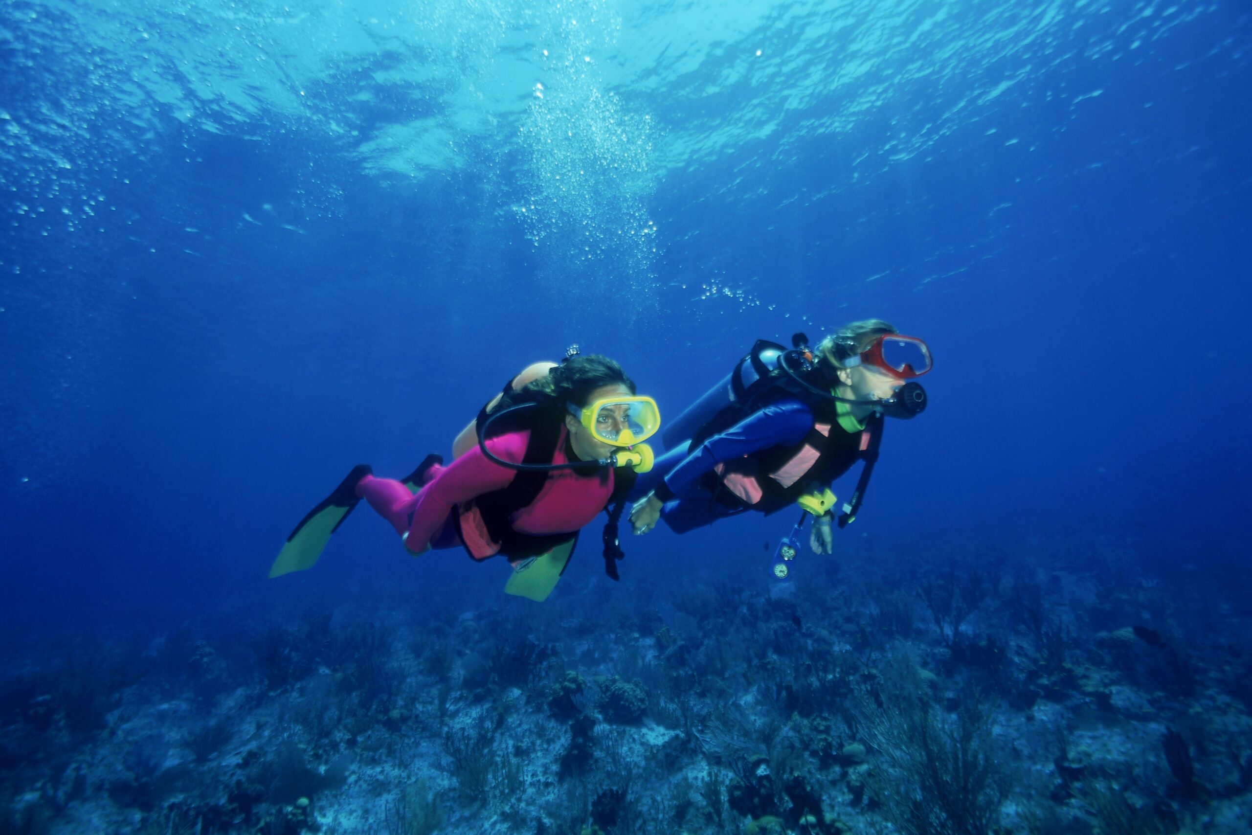 scuba diving experiences